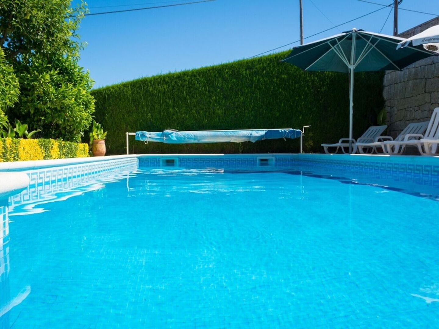 Pet Friendly and Gametable - Mystay