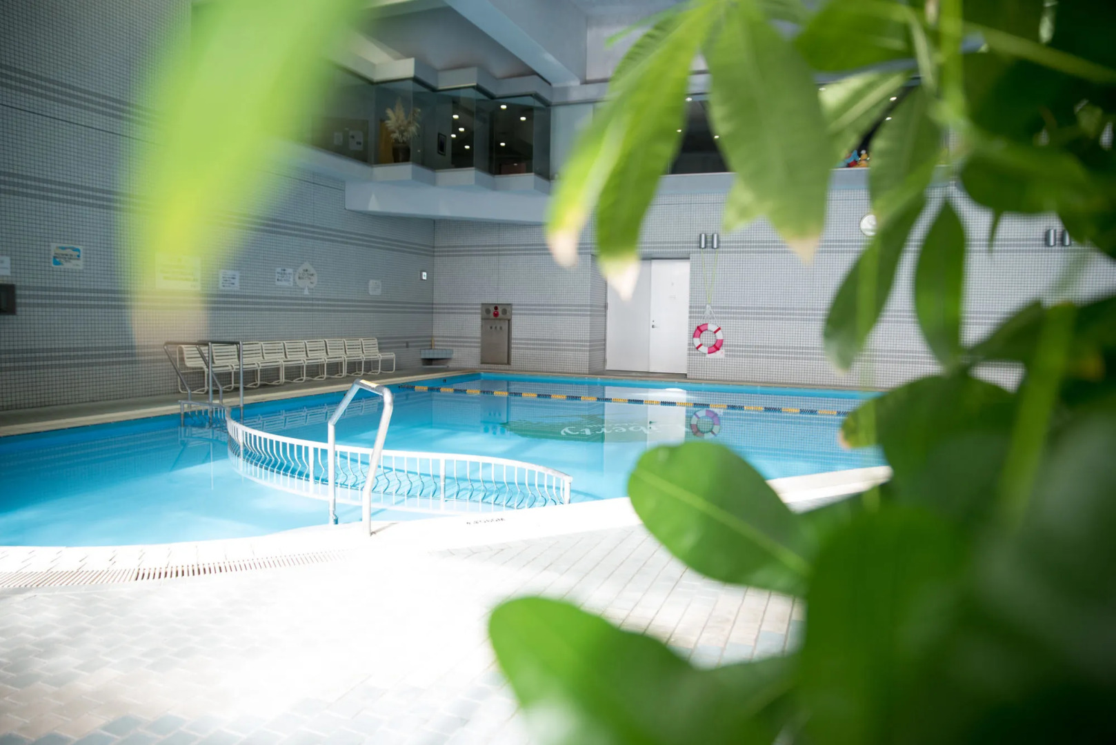 Wisterian Life Club Verde no Mori