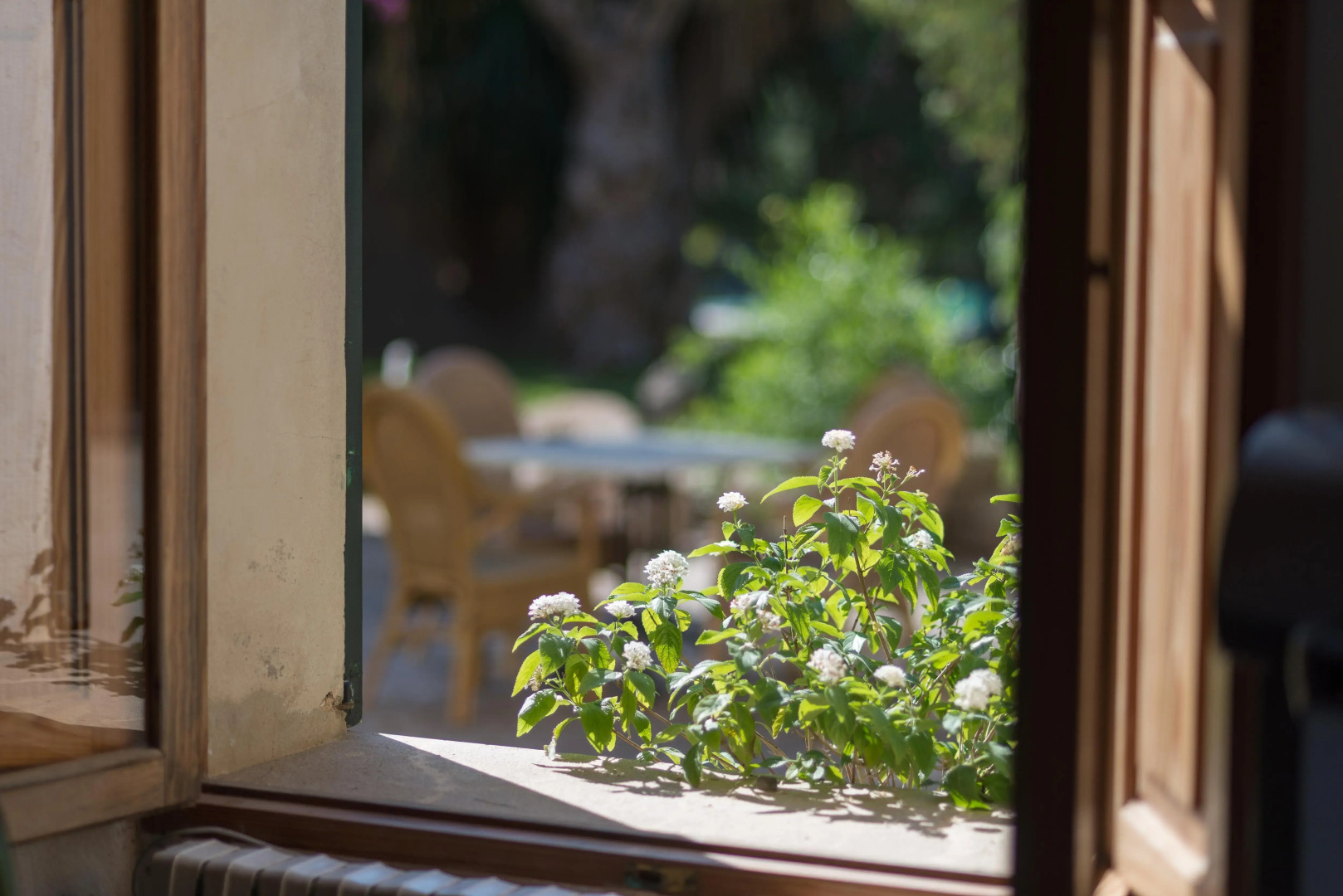 Petit Hotel Rural Son Jorda