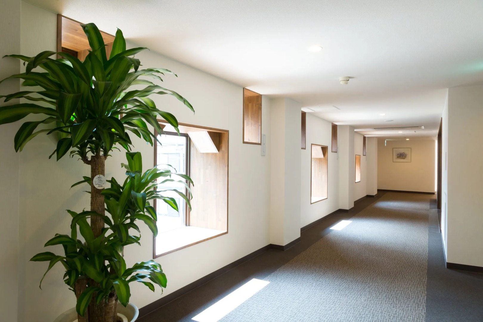 Biyunoyado Ryochiku Bettei