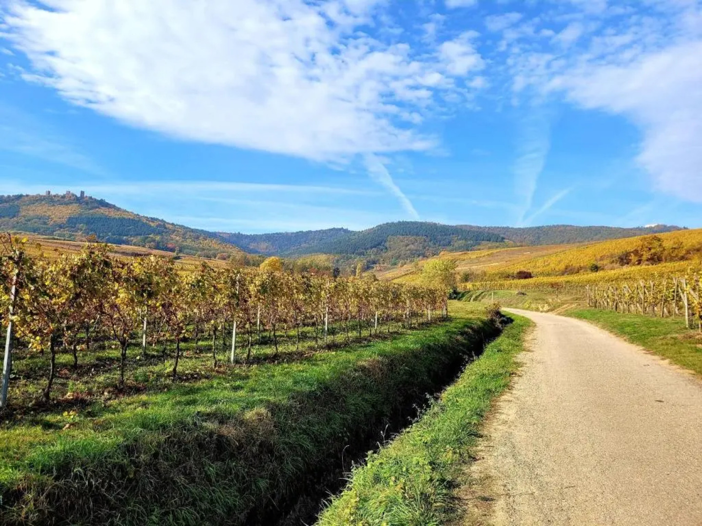 DUPLEX Le 12 - Appartement avec terrasse dans le vignoble - 5 mn du centre de Colmar
