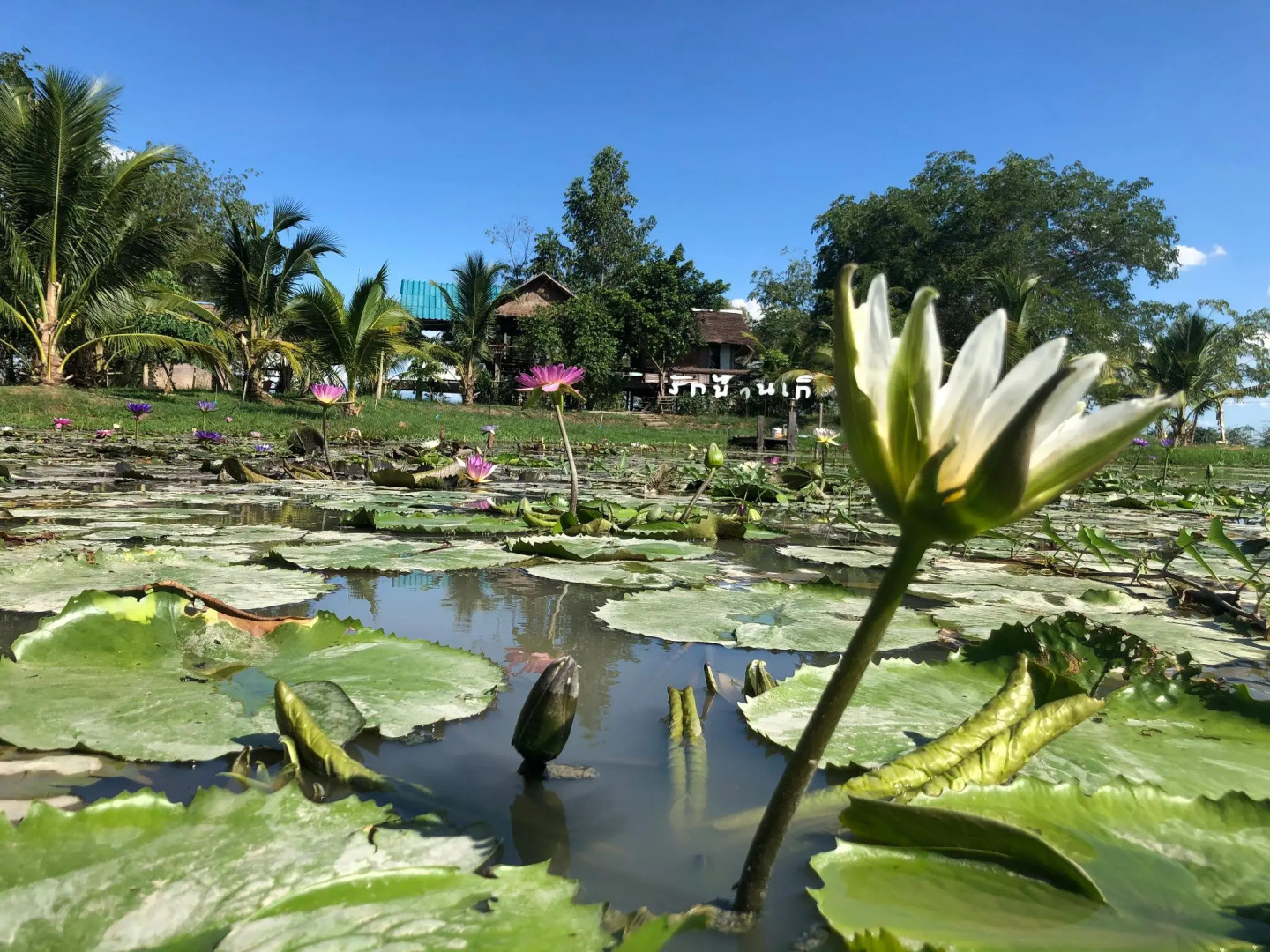 Resort Railumpoo Farm and Camping