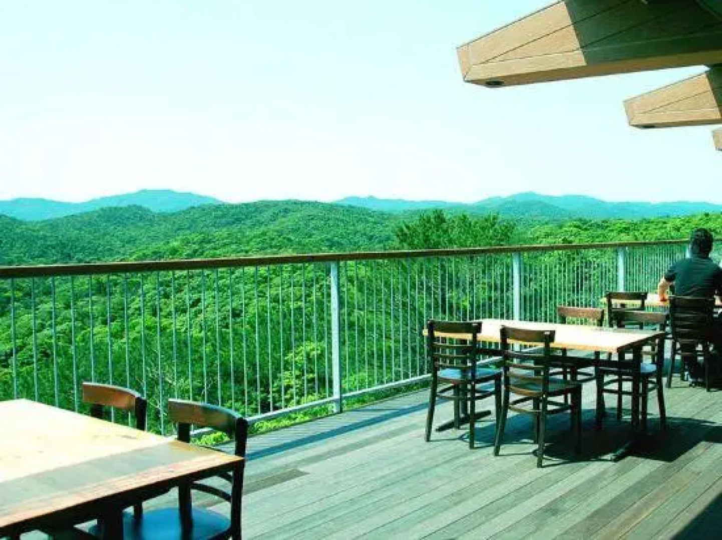 Yambaru Discovery Forest