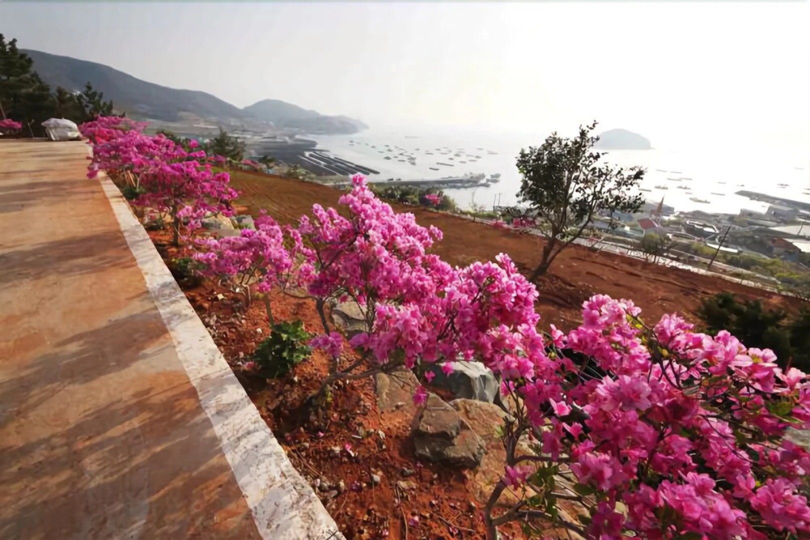 Yeosu Camellia Pension