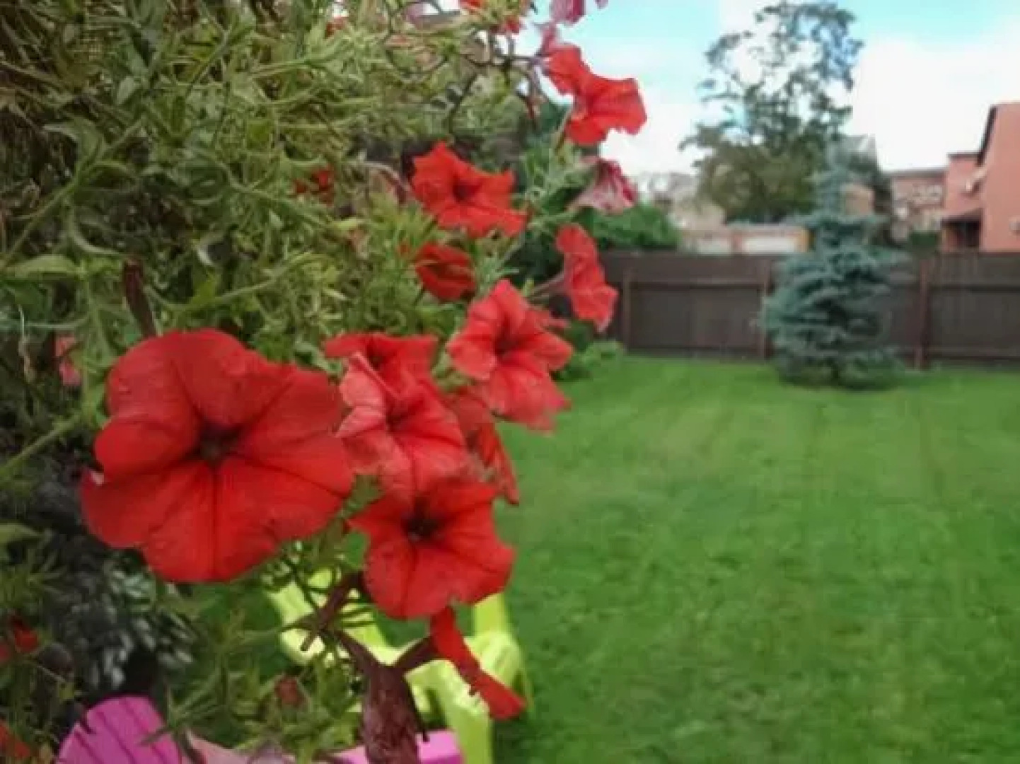 Toma street apartments