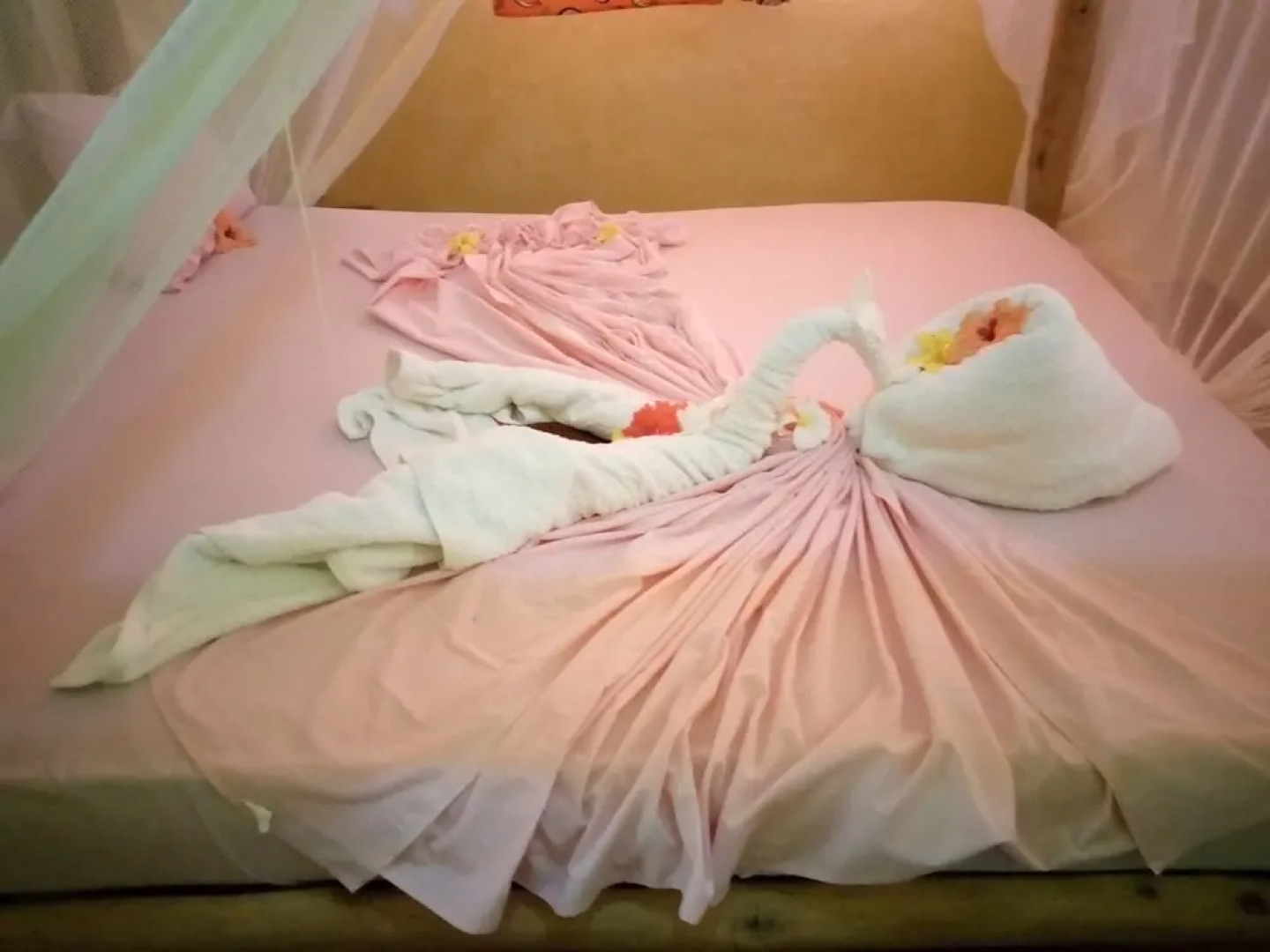 Mnana Lodge Kizimkazi