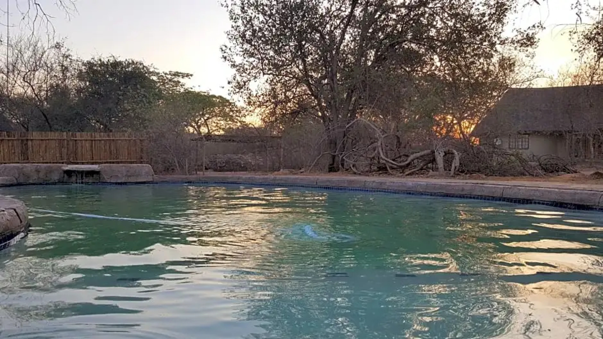 Awelani Lodge