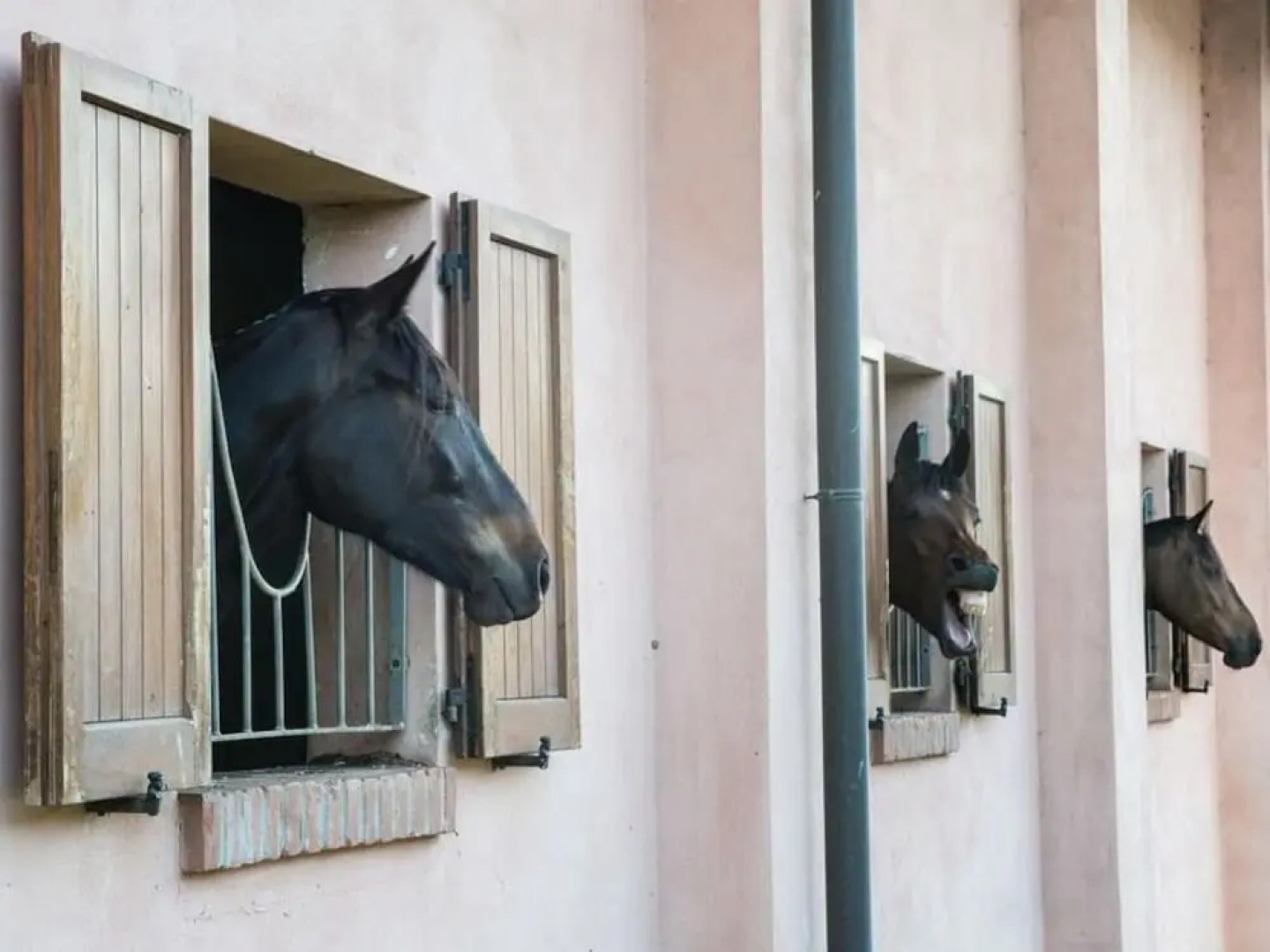 San Giacomo Horses & Agriturismo