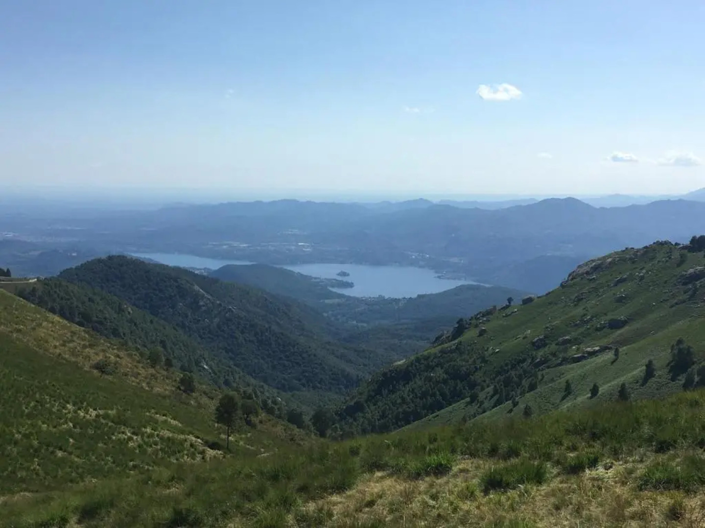 Il riccio di Ricciano