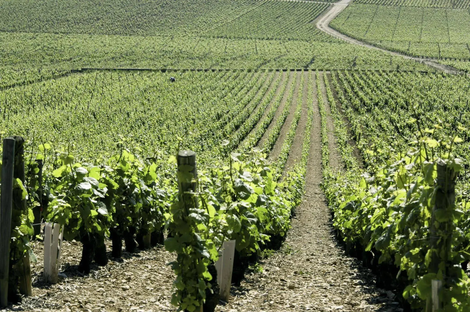 ibis budget Pouilly-en-Auxois