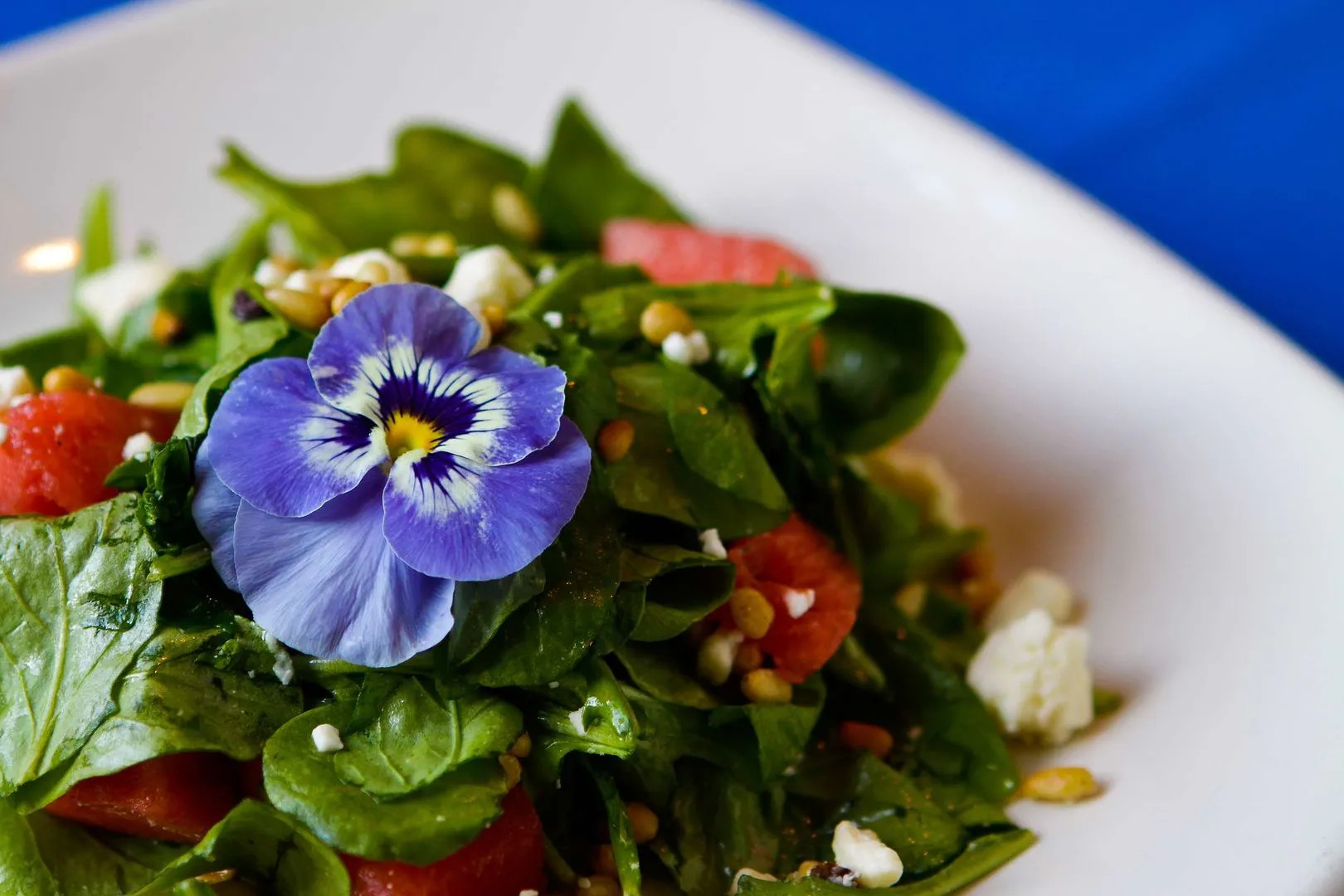 The Dan'l Webster Inn and Spa