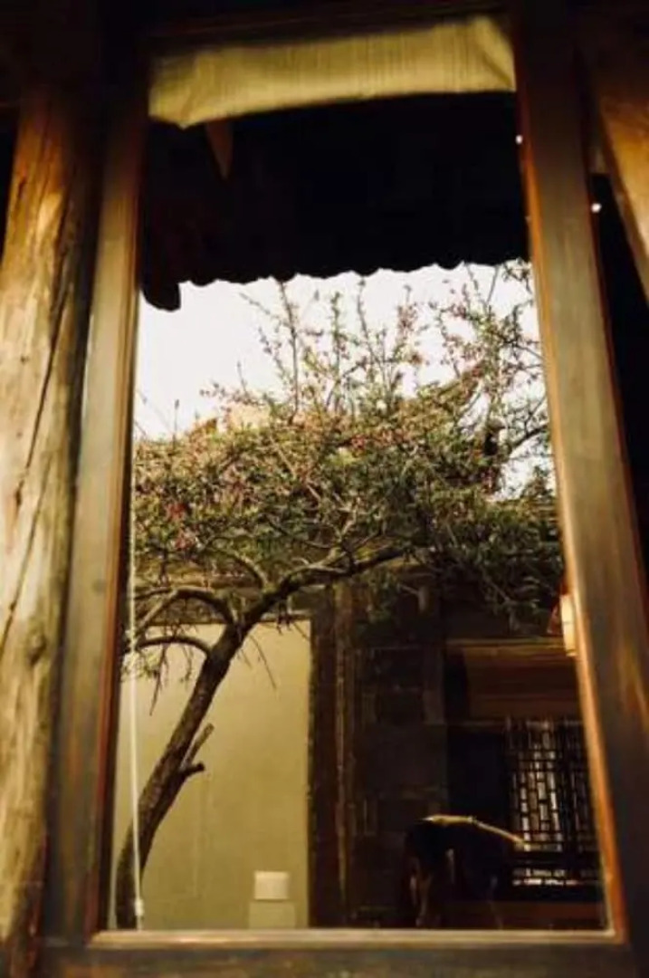 YUANSHE Dongchengwai