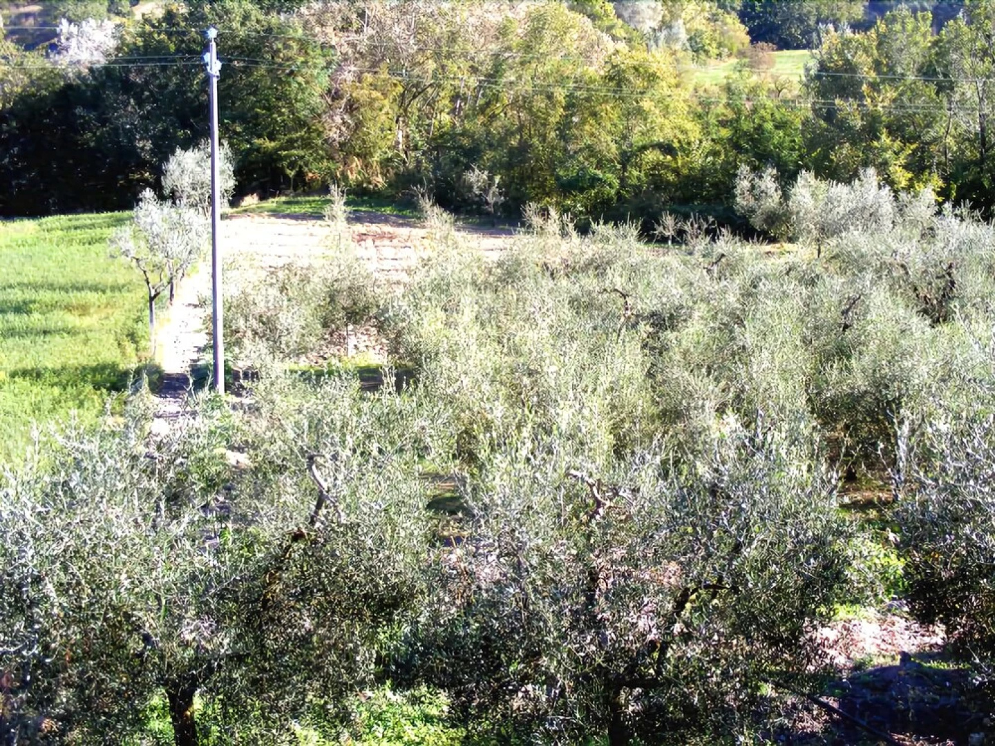 La Fontana b&b