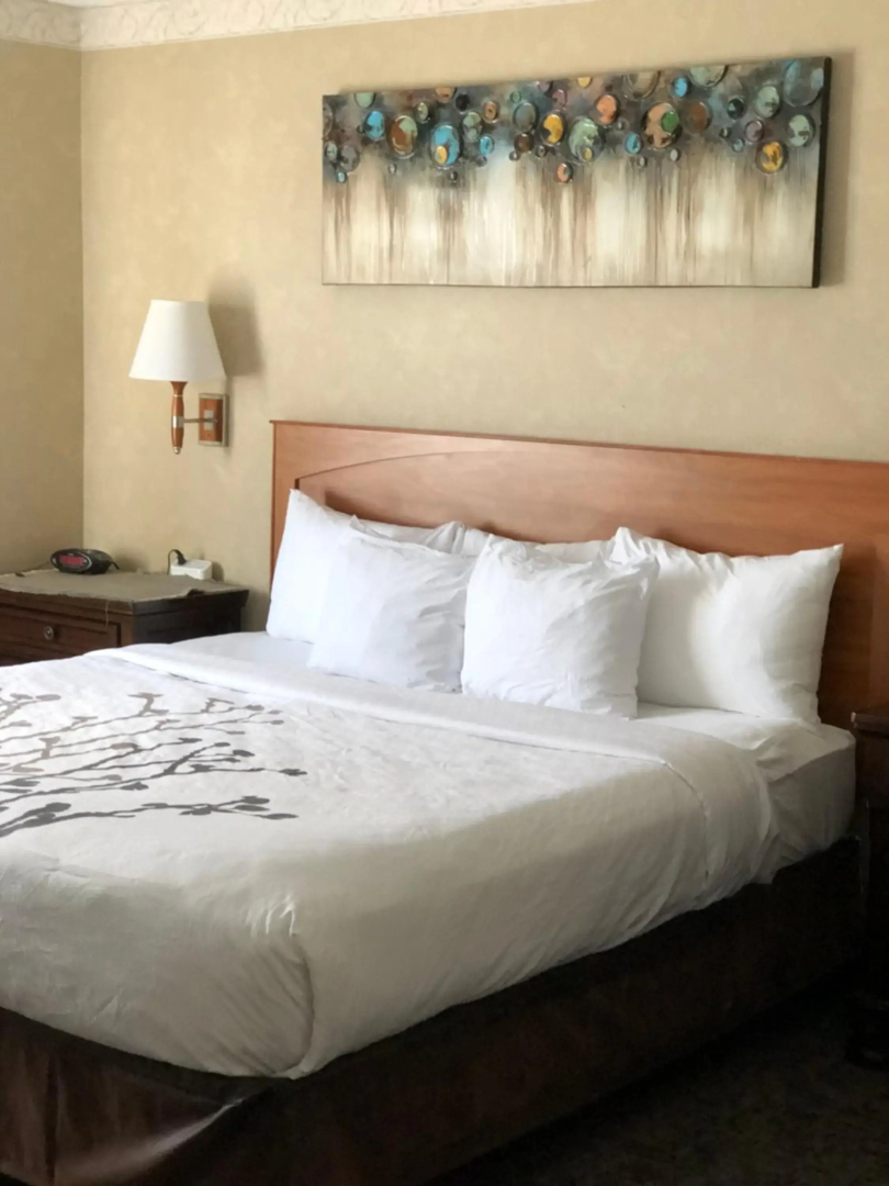 Sleep Inn & Suites Conference Center and Water Park