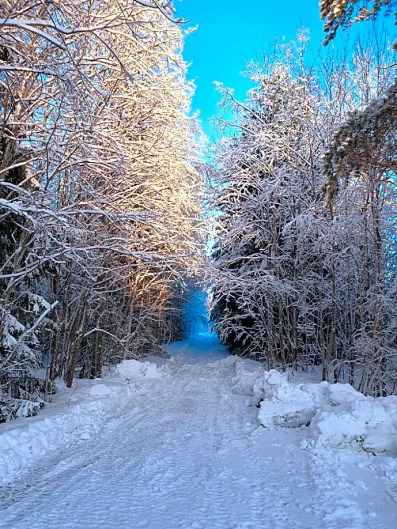 Schnieder's single room 1