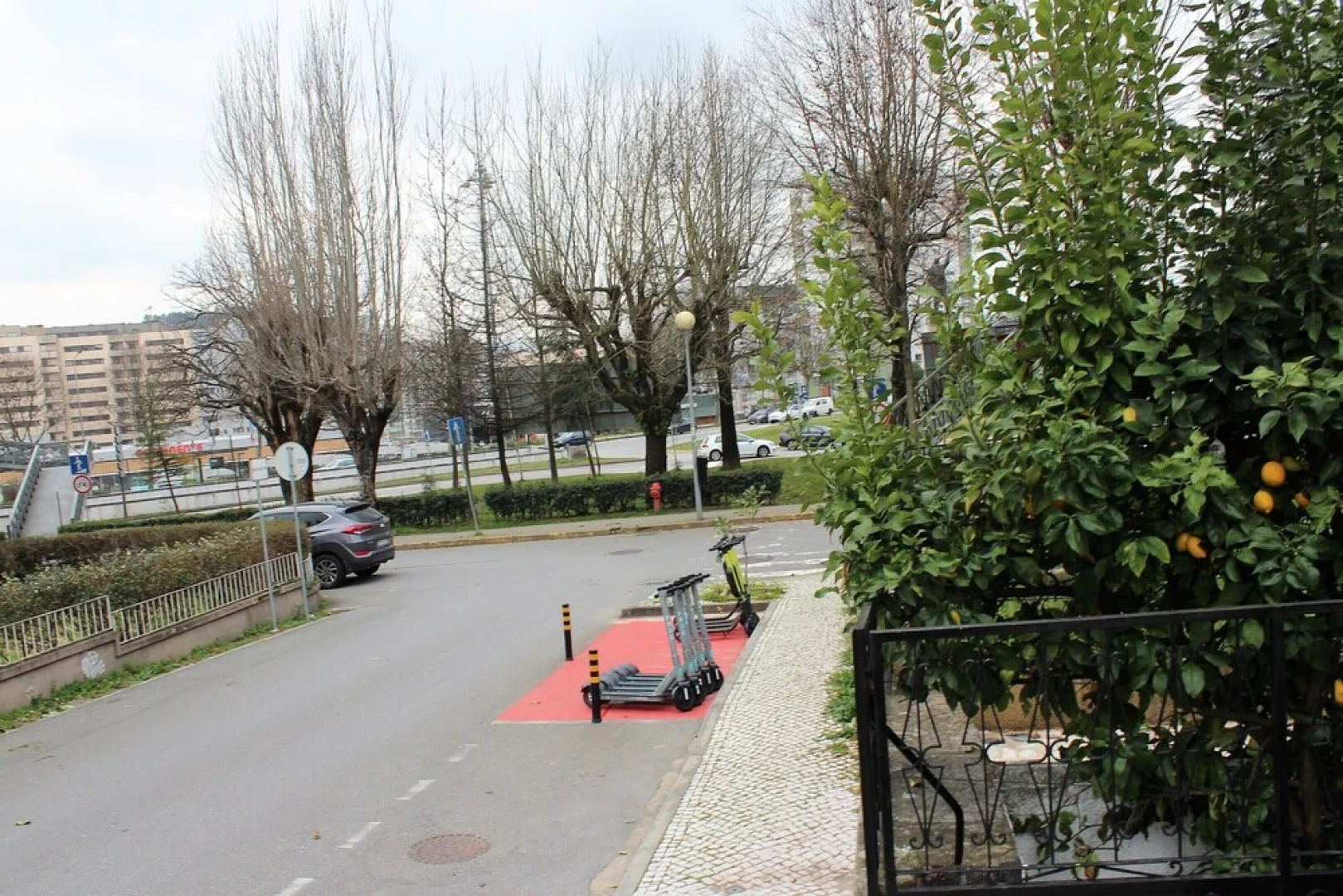 Colina Guesthouse - Braga