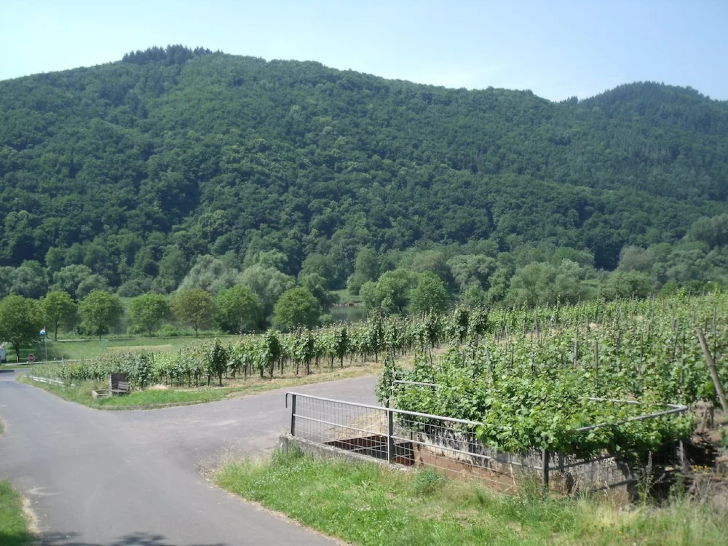 Ferienwohnungen Gästehaus Gerhild