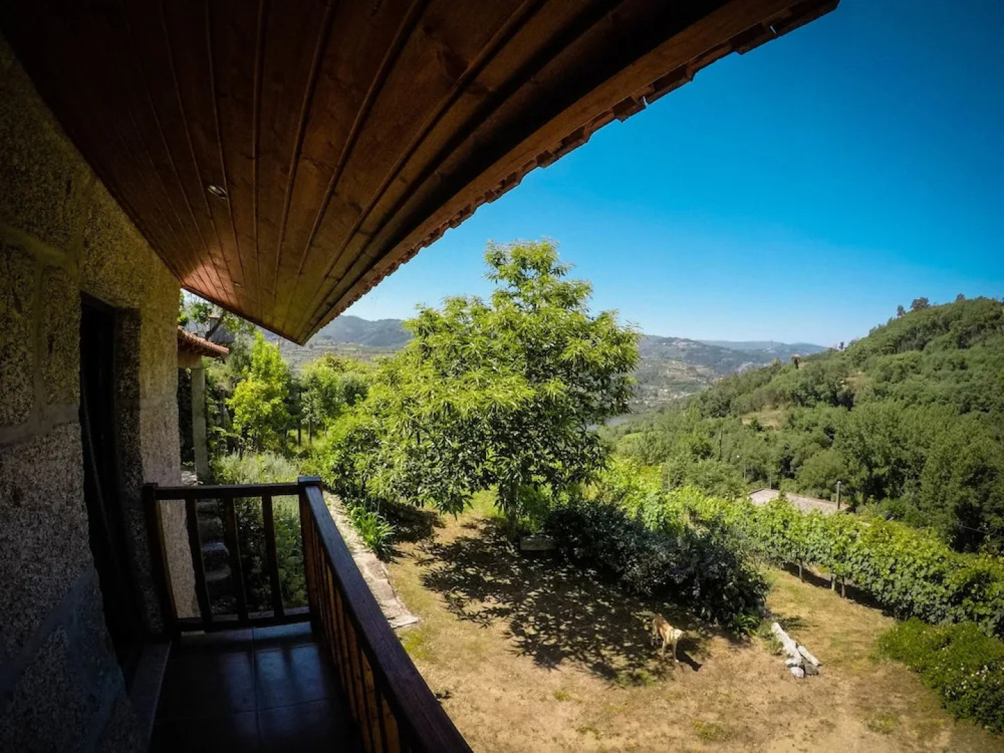 Casa da Mouta - Douro Valley