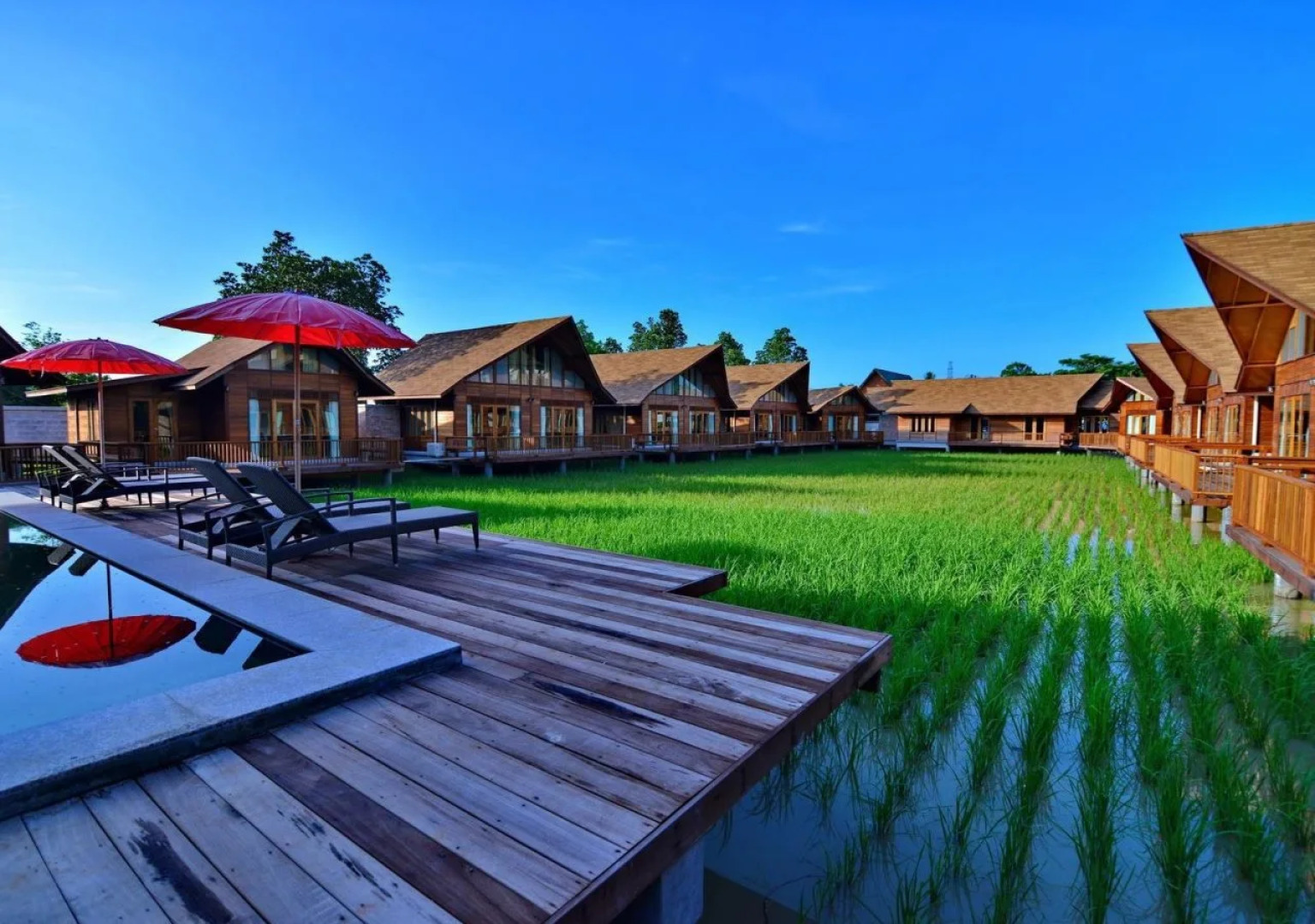 Rice Farm Villa