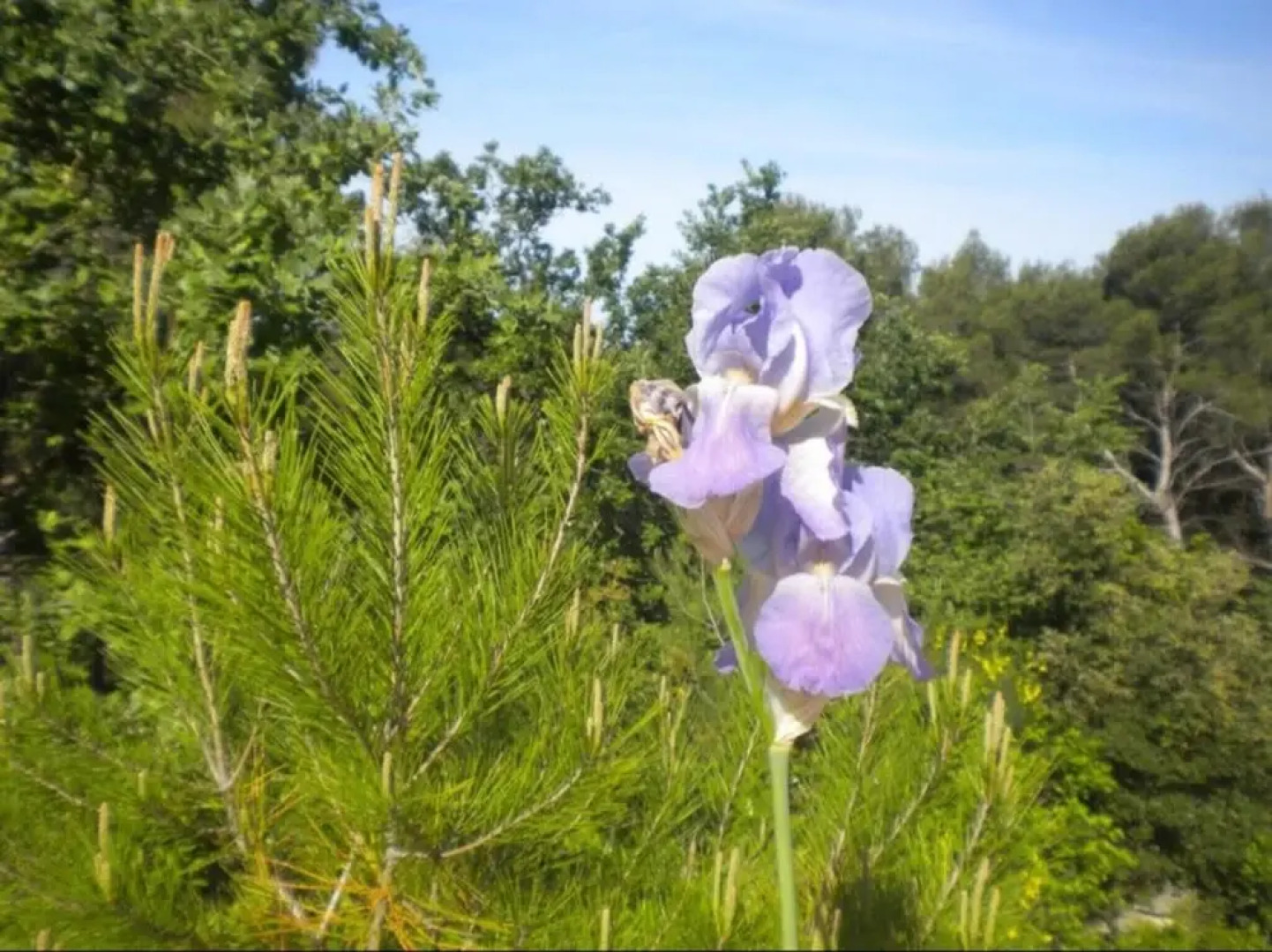 Villa With 4 Bedrooms In Trets, With Wonderful Mountain View, Private Pool, Furnished Garden - 32 Km From The Beach