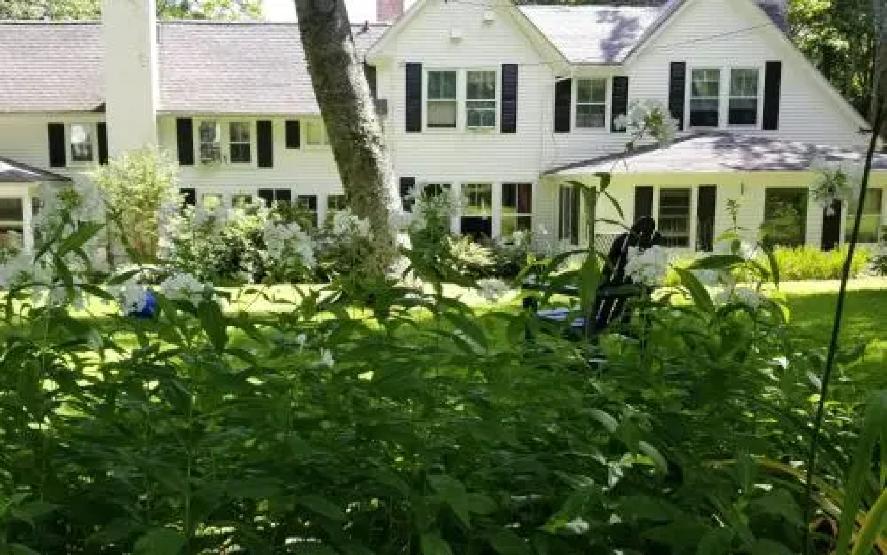 Timbercliffe Cottage Inn