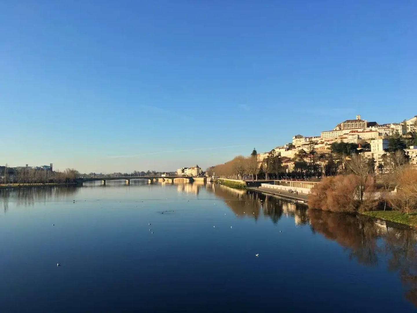 Apartment With one Bedroom in Coimbra, With Wonderful City View and Wifi