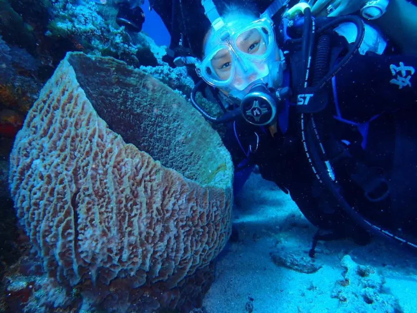 Good Viewing Spot B&B