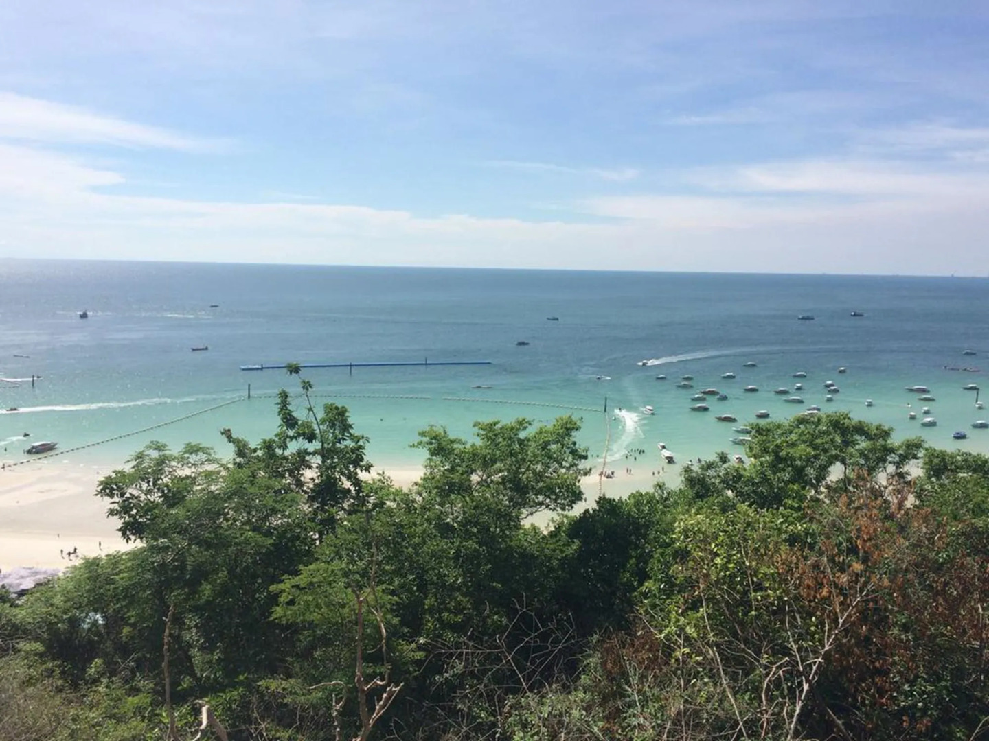 Bee Orchid Pool Villa