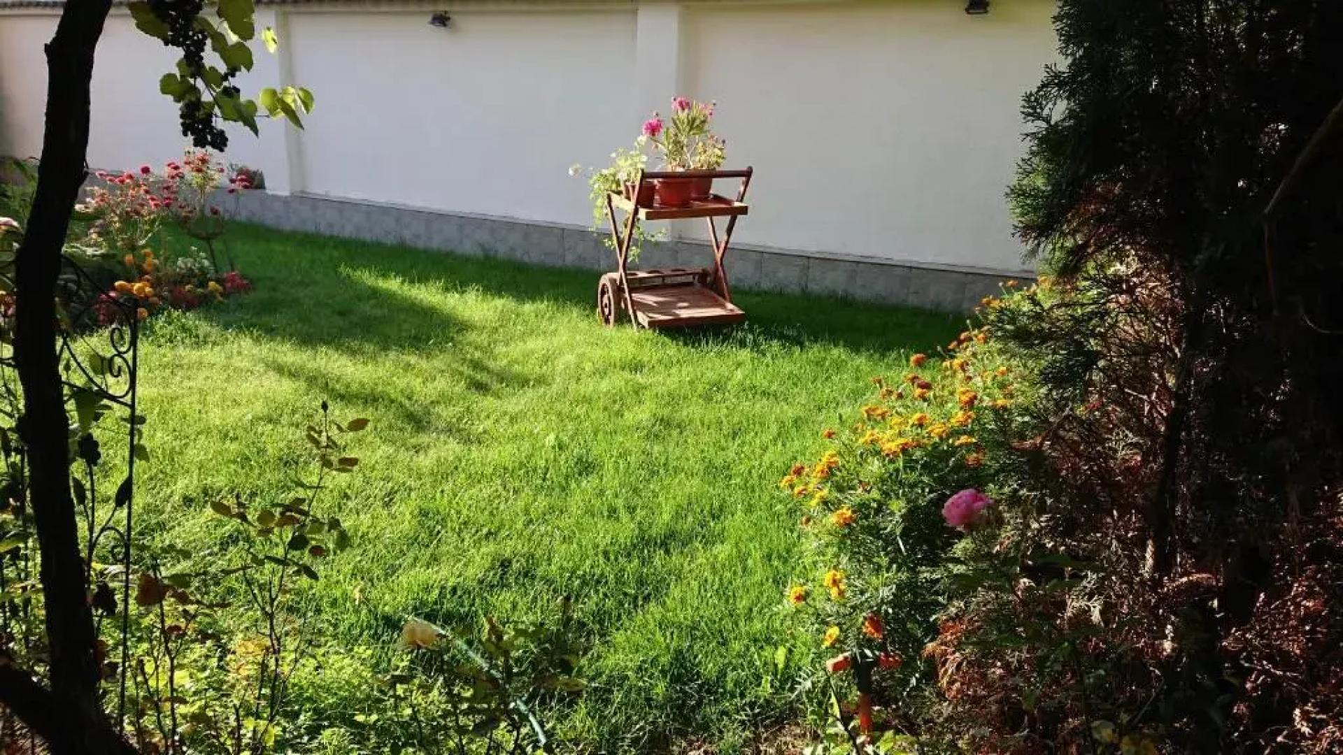 Hotel Dalia