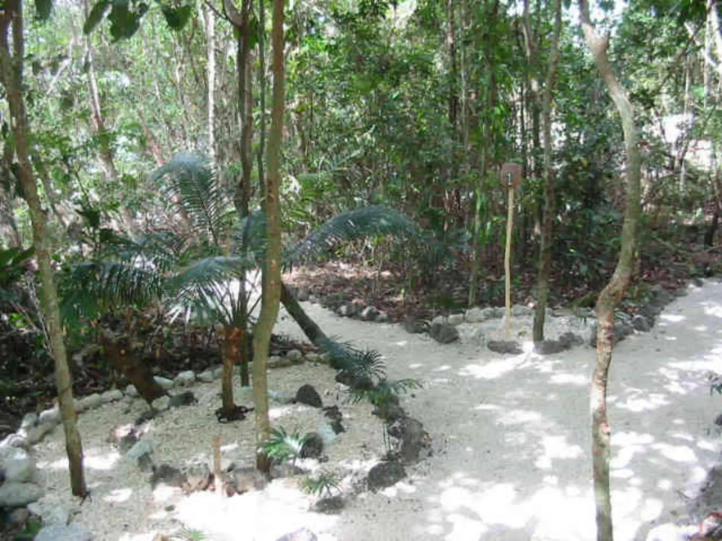 Tranquility Island Resort