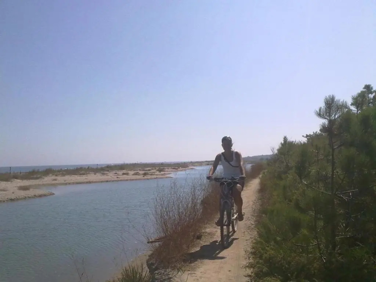 Hotel Touring Misano Adriatico