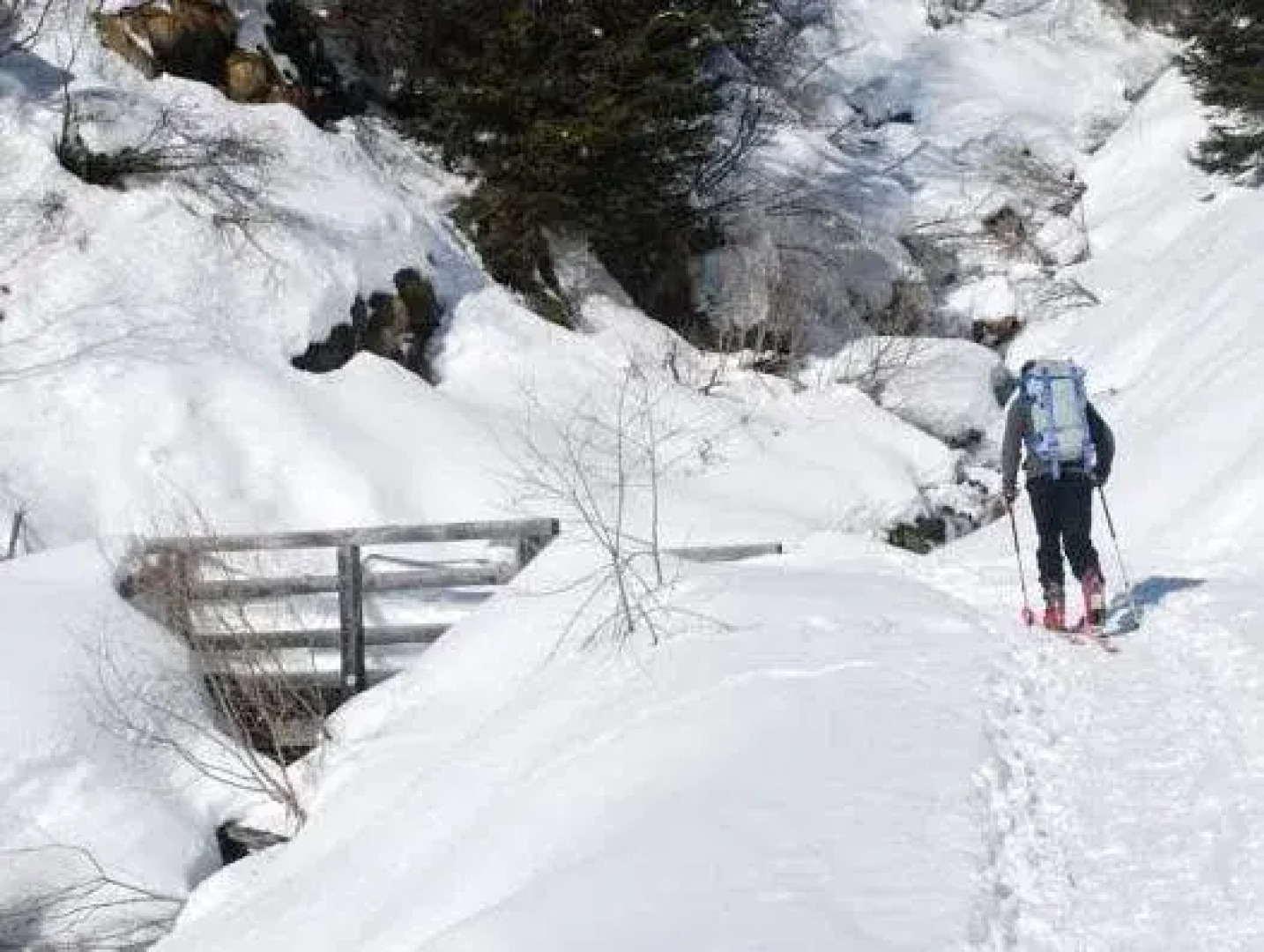 Hotel Garnì Zanella