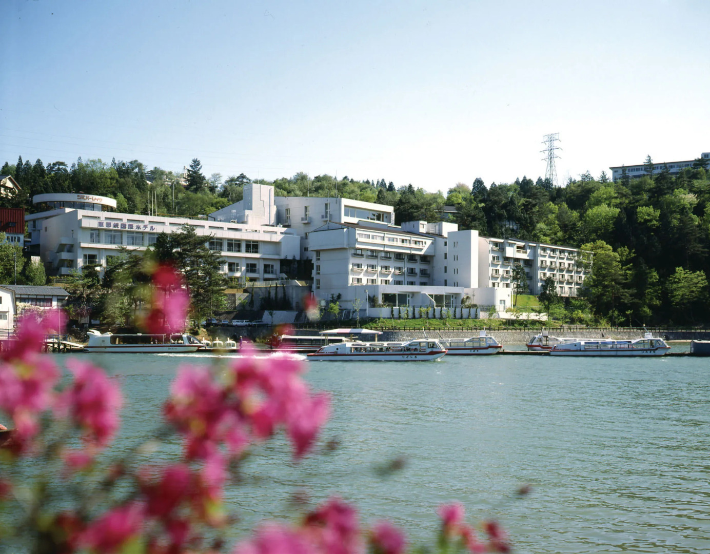 Ooedo Onsen Monogatari Premium Enakyo