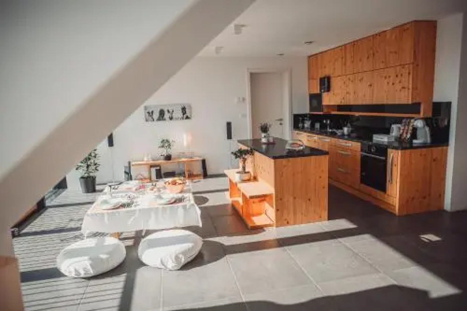 ECO Boutique Hotel AMS Beagle