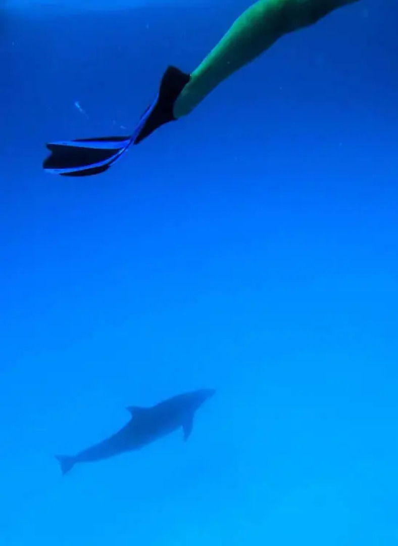 Matemwe Beach Village