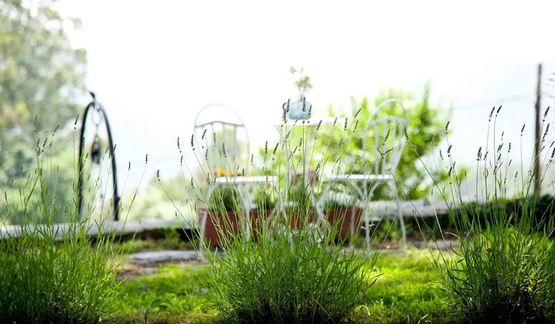 La Casa de la Abuela Milagros