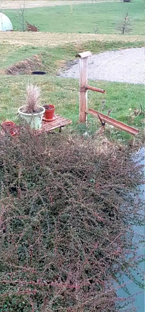 Chez Papy (Adults Only)