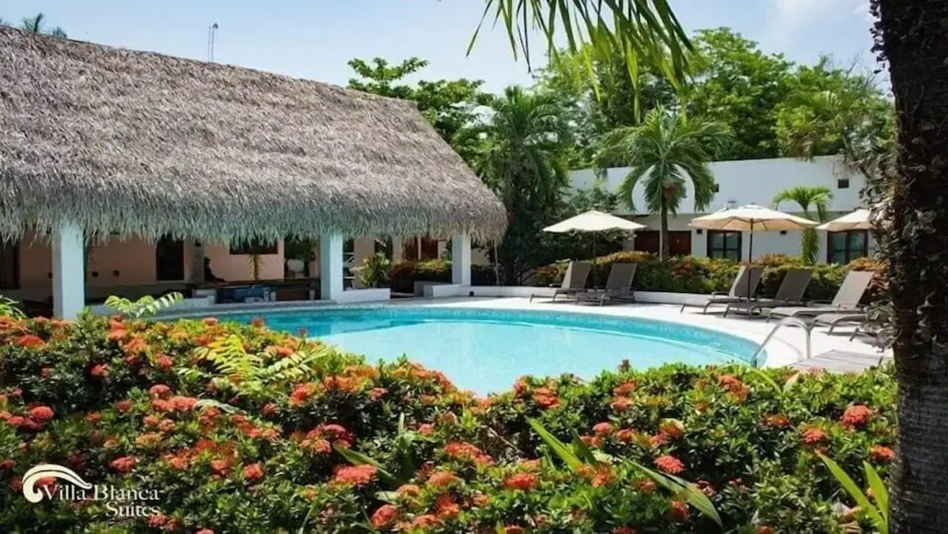 Hotel Villa Blanca Suites