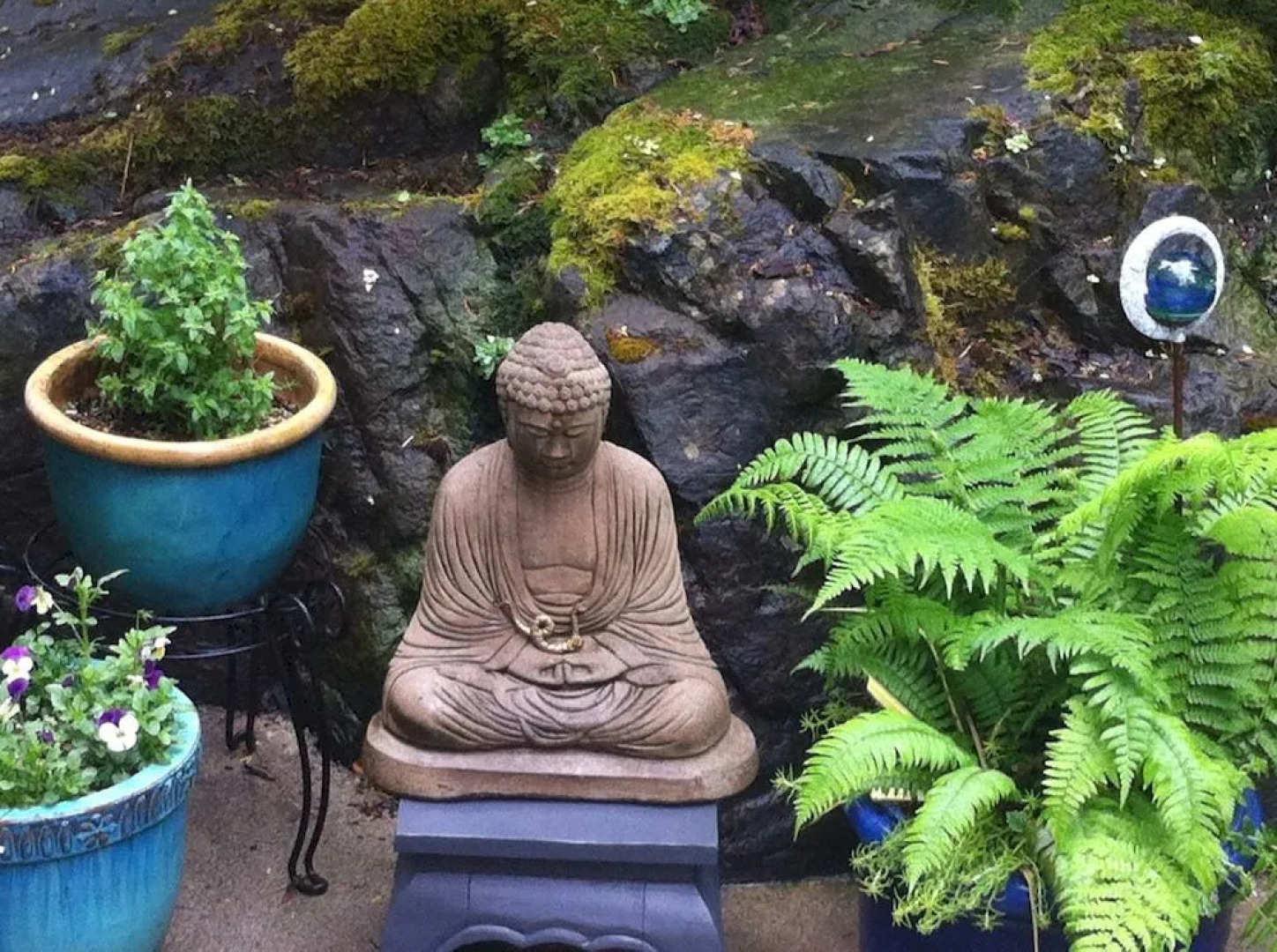 The Lodge at Weir's Beach