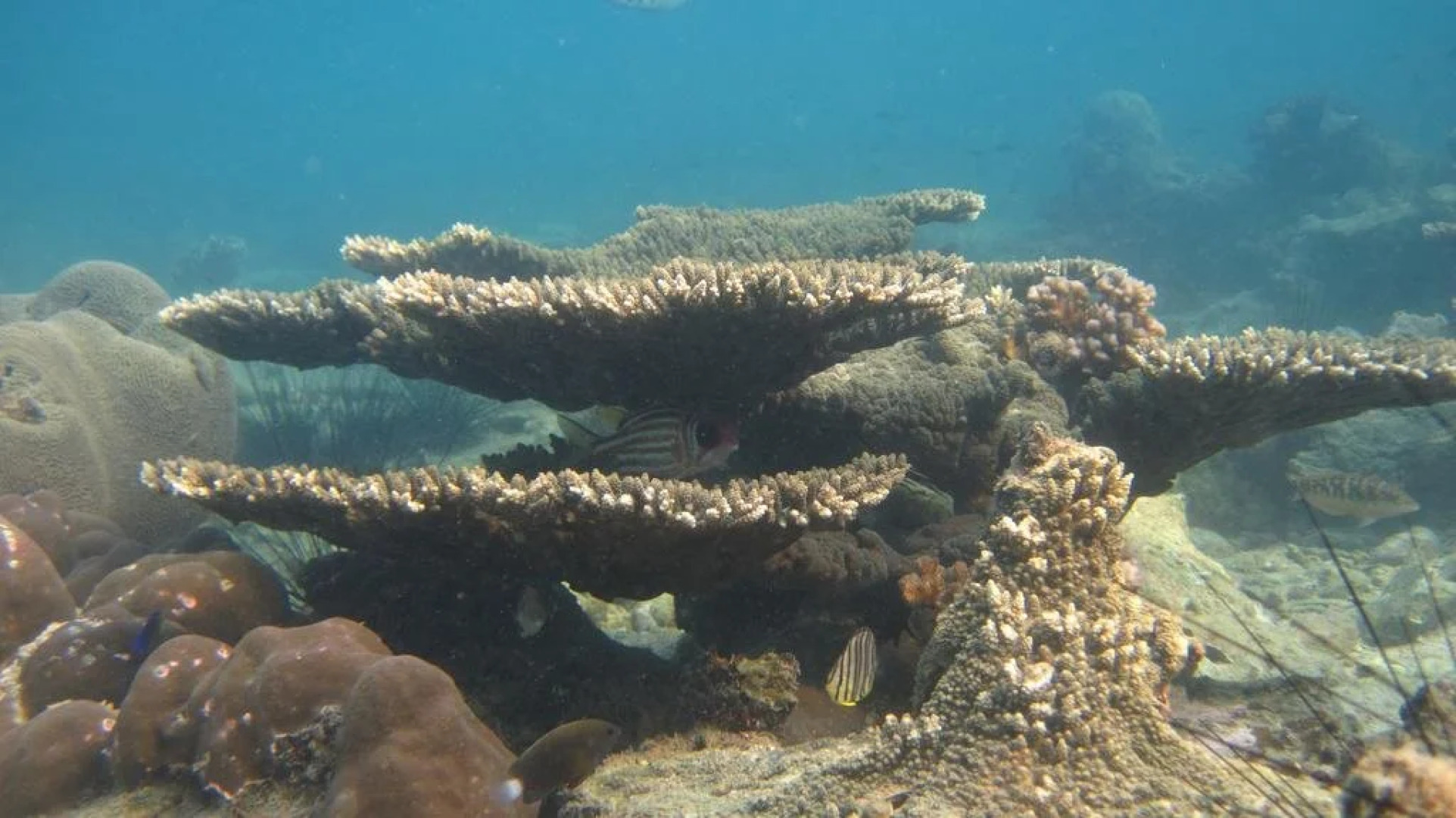 Mantakiri Island Resort Private Island