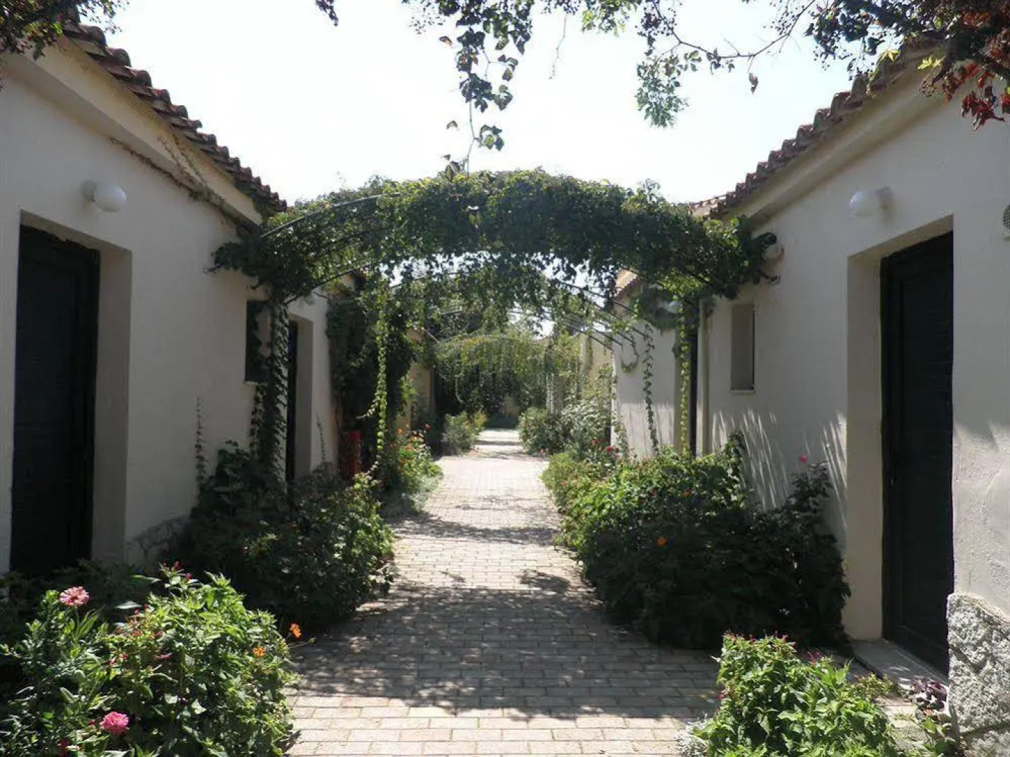 King Odysseu's Village