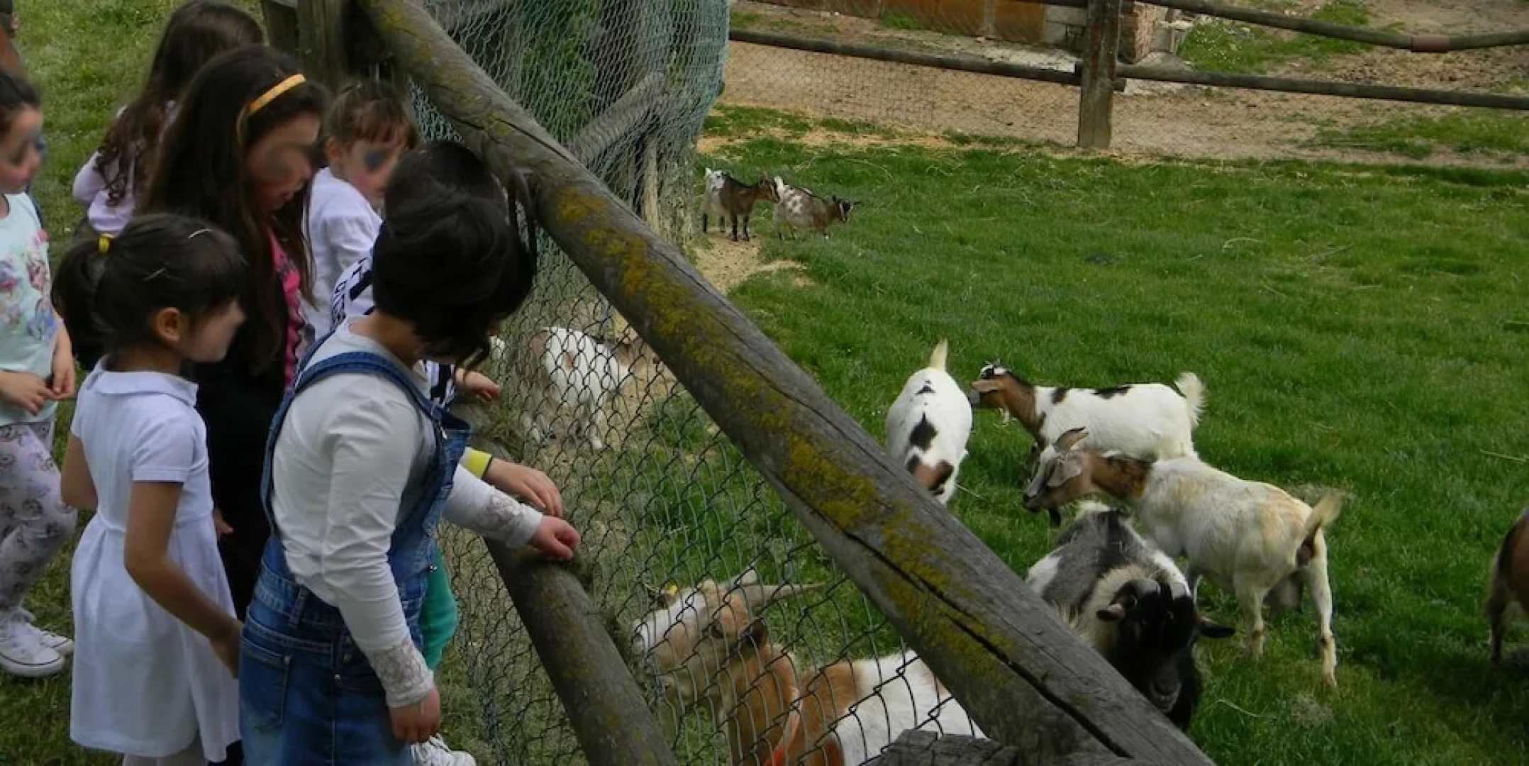 Azienda Agrituristica Colle San Giorgio