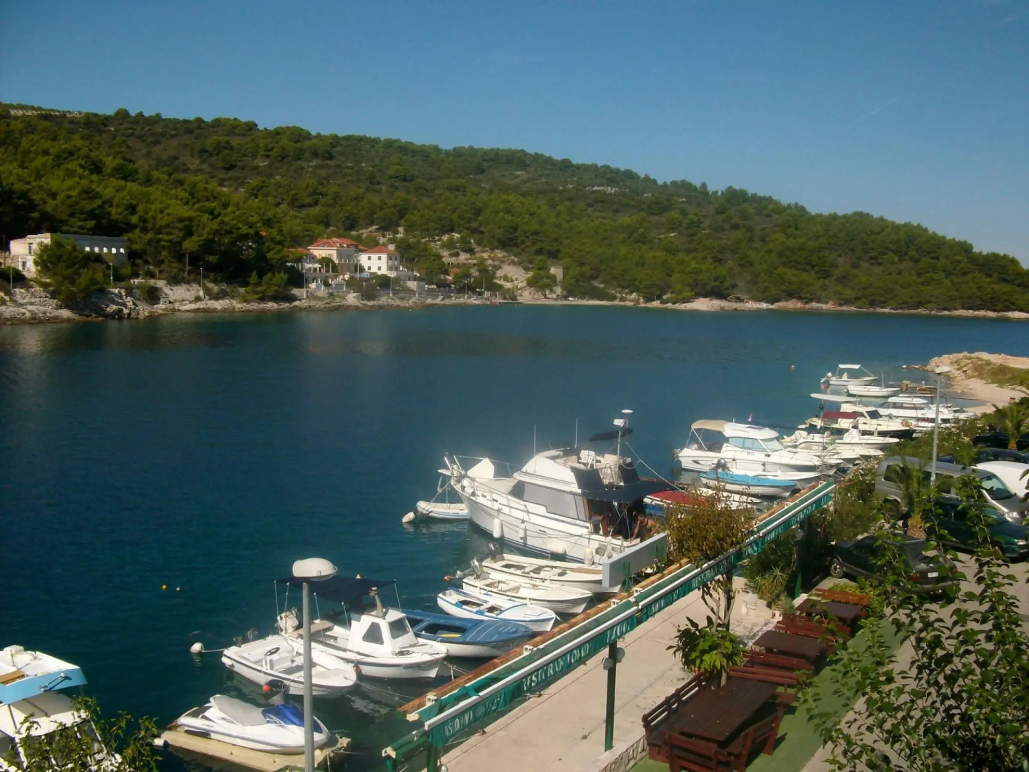 Riley - at the sea - A4-martino 4