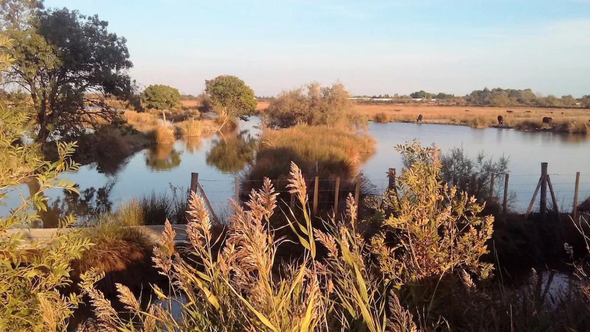 Roulotte La Nanouche