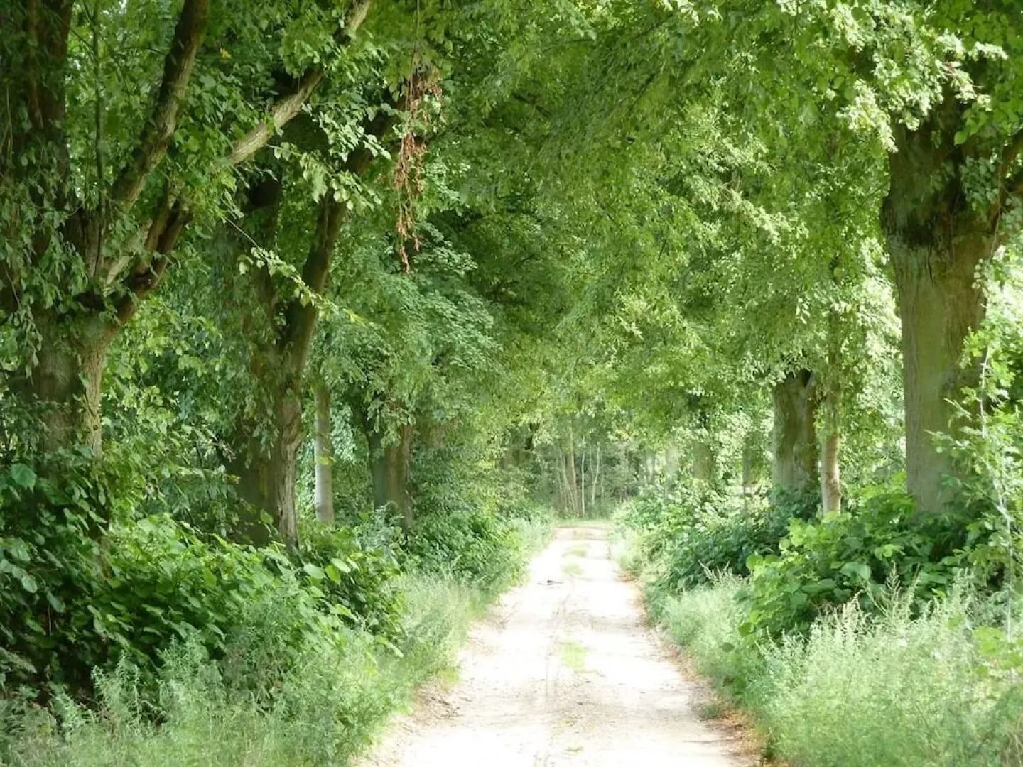 Herrenhaus Röddelin