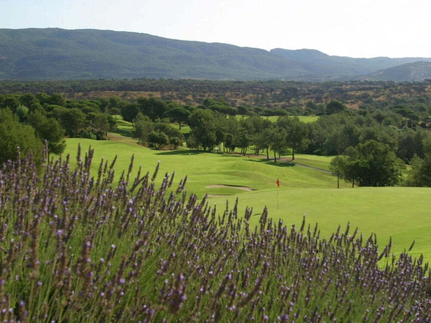 Provencal Holiday Home With Dishwasher not far From Fréjus