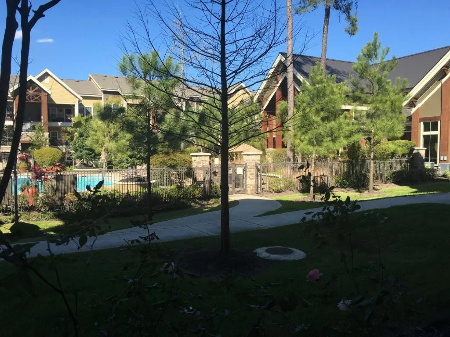 Resort Style Apartment/Home - The Woodlands