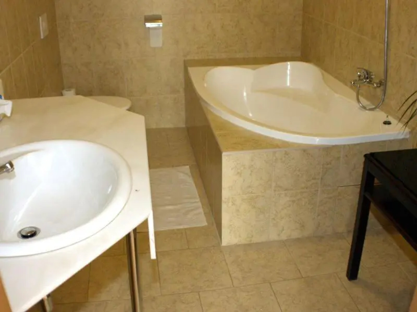 Hotel U Dobrého Lva