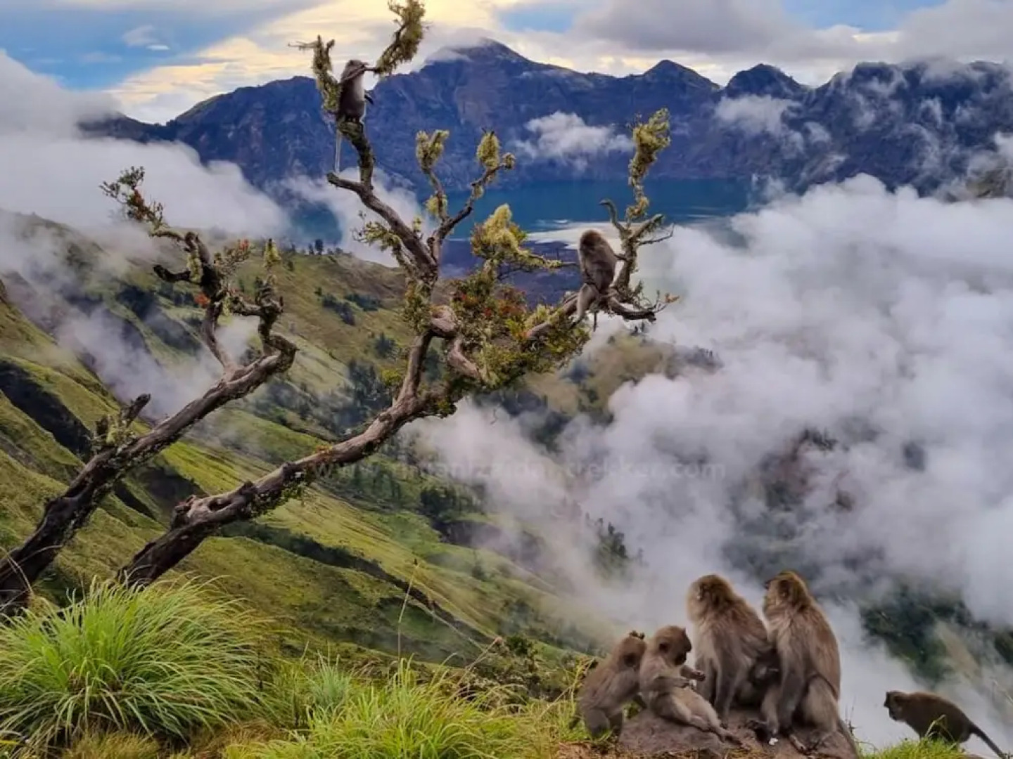 Tresno Sembalun Rinjani