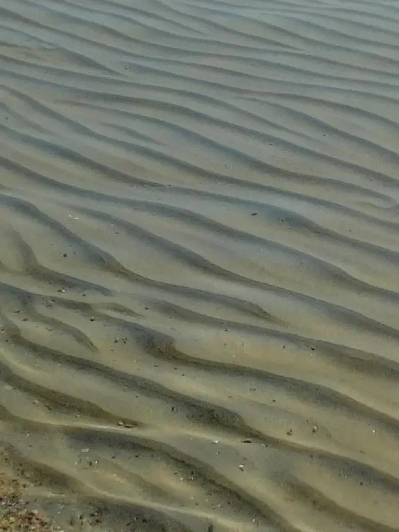 Sithonia Alekos Luxury Experience